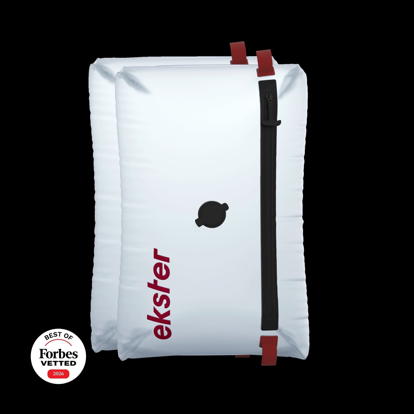 TravelPackTM Vacuum Bag Plus