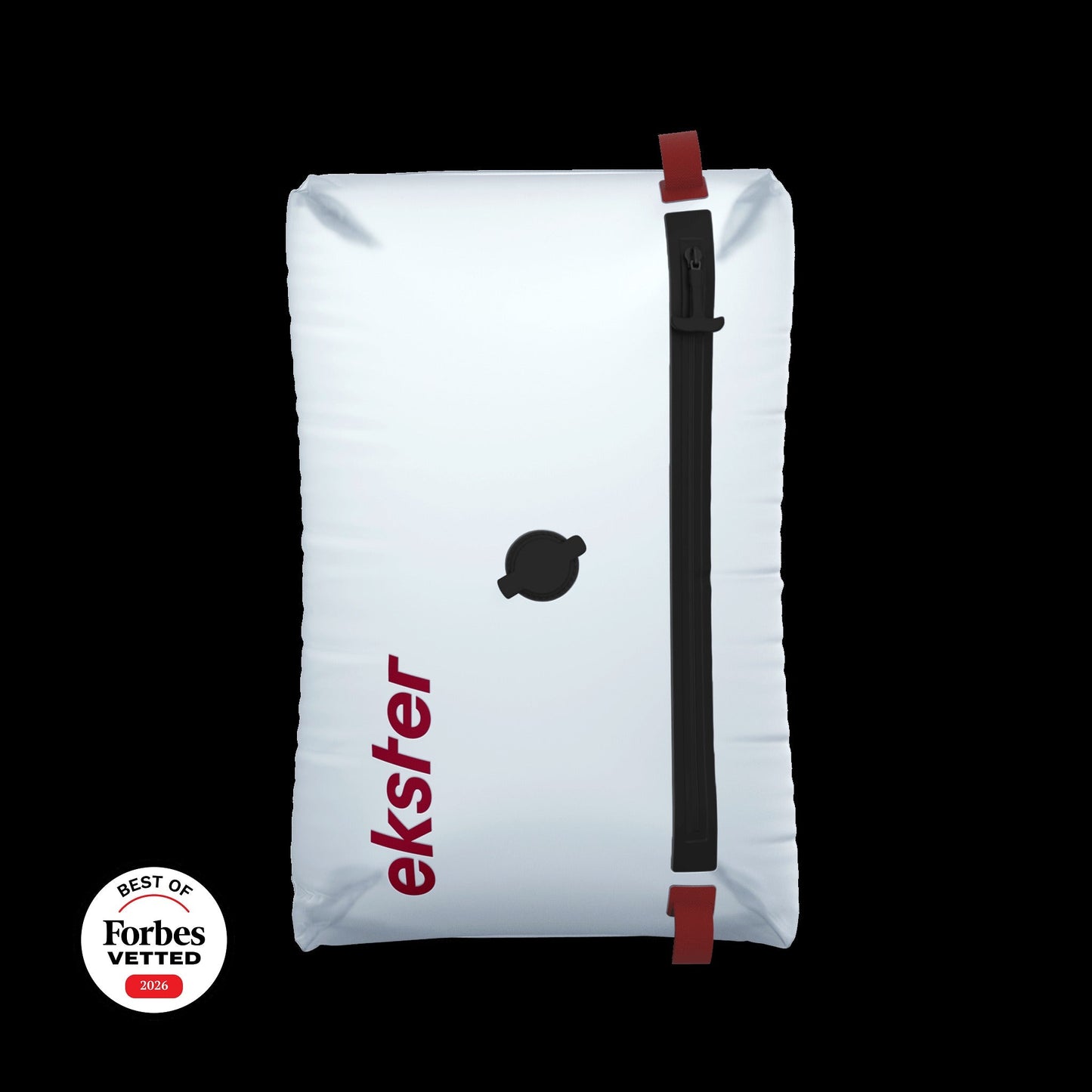 TravelPackTM Vacuum Bag Plus