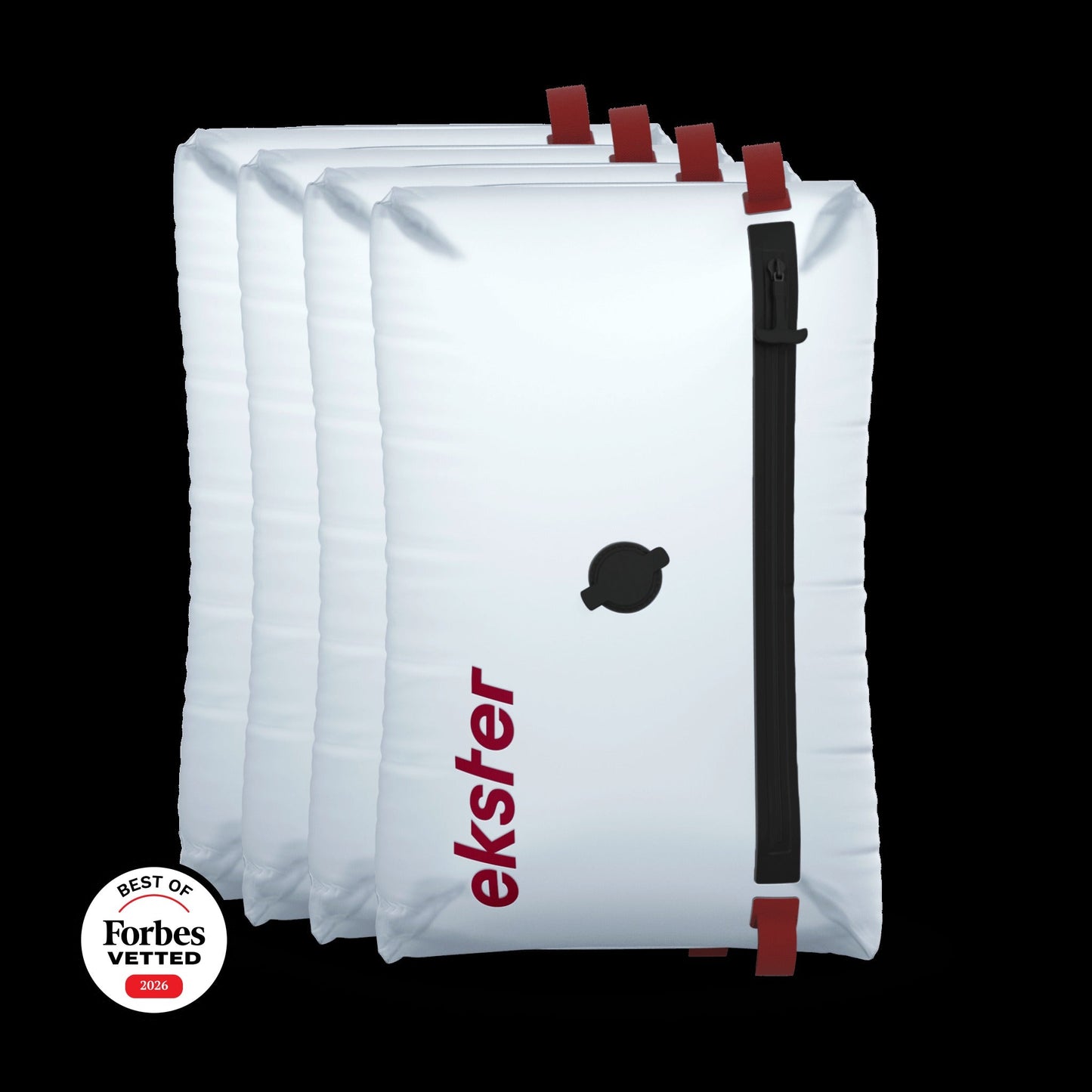 TravelPackTM Vacuum Bag Plus